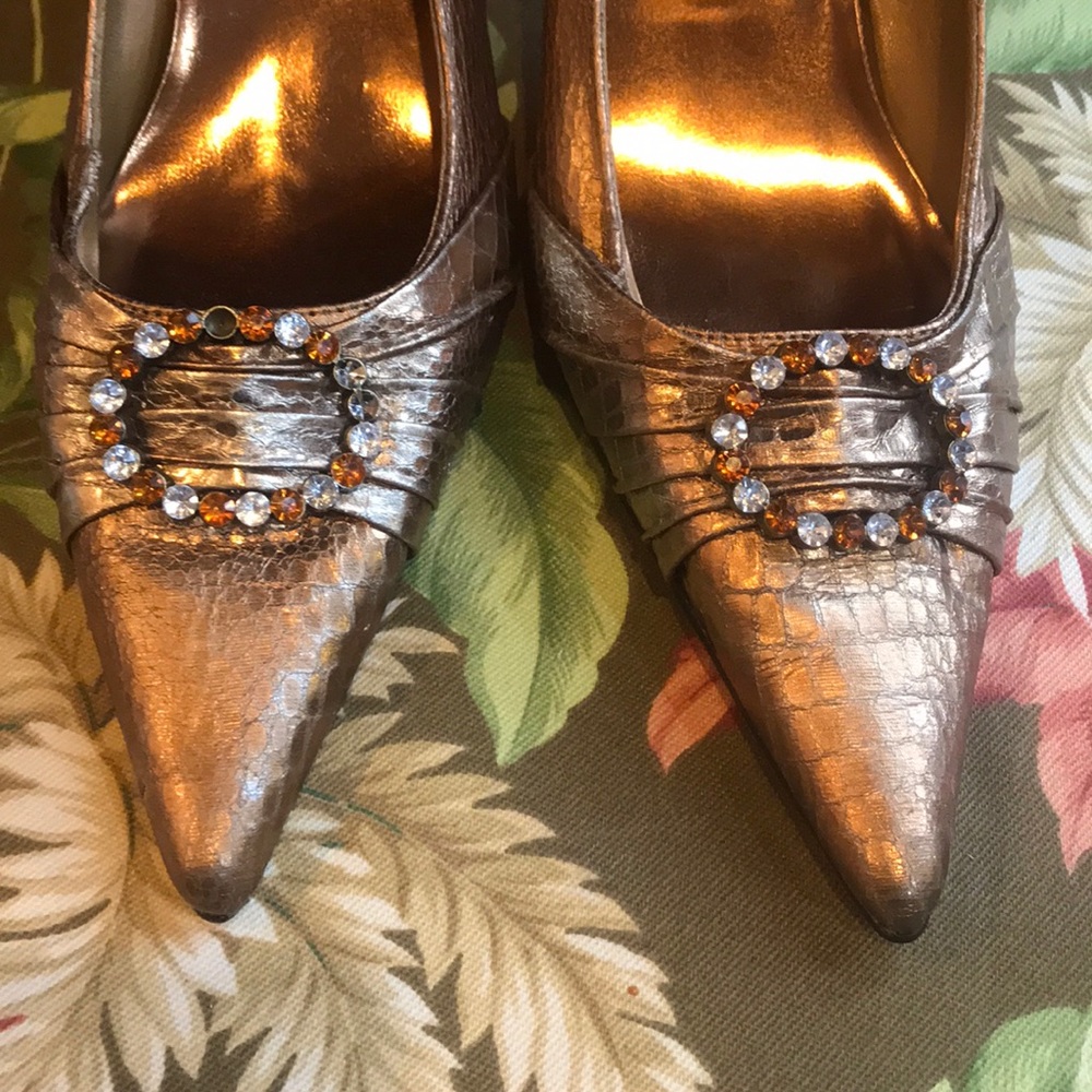 Metallic Pointed Shoe-L1